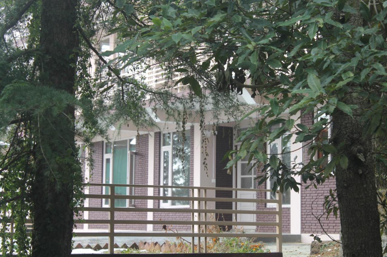 Junglaat Ecorganic Stays&Experiences Dharamshala Bagian luar foto