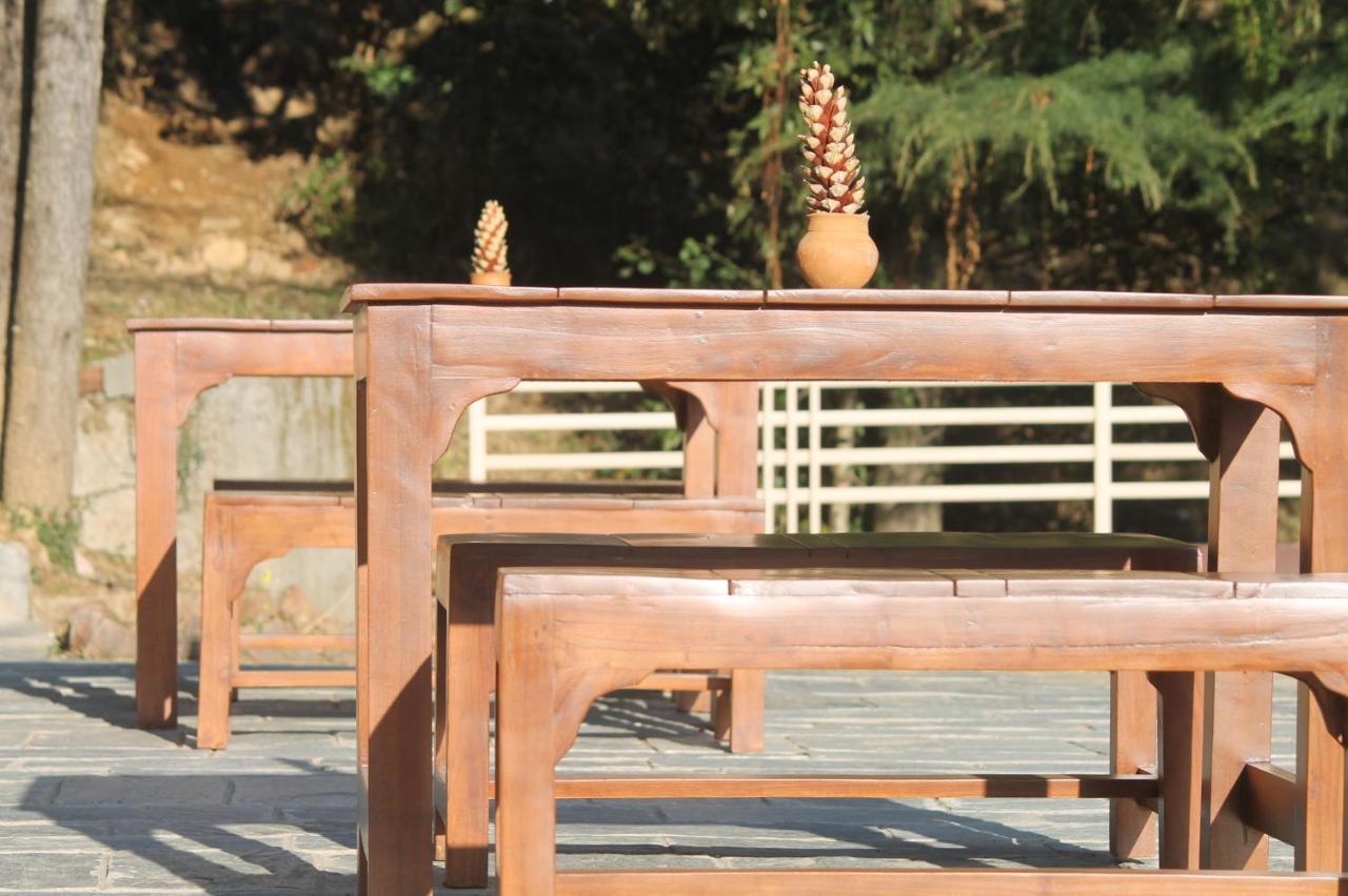 Junglaat Ecorganic Stays&Experiences Dharamshala Bagian luar foto