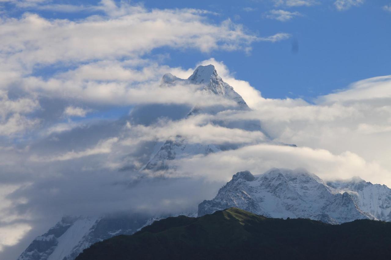 Junglaat Ecorganic Stays&Experiences Dharamshala Bagian luar foto
