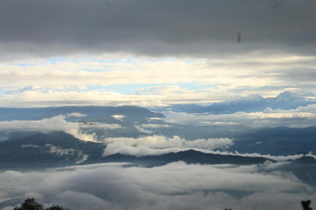Junglaat Ecorganic Stays&Experiences Dharamshala Bagian luar foto