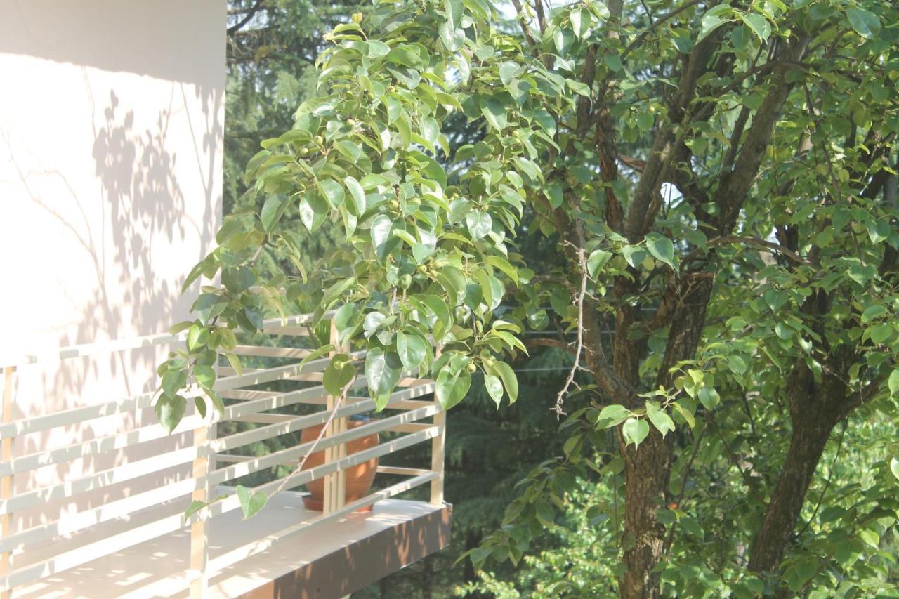 Junglaat Ecorganic Stays&Experiences Dharamshala Bagian luar foto