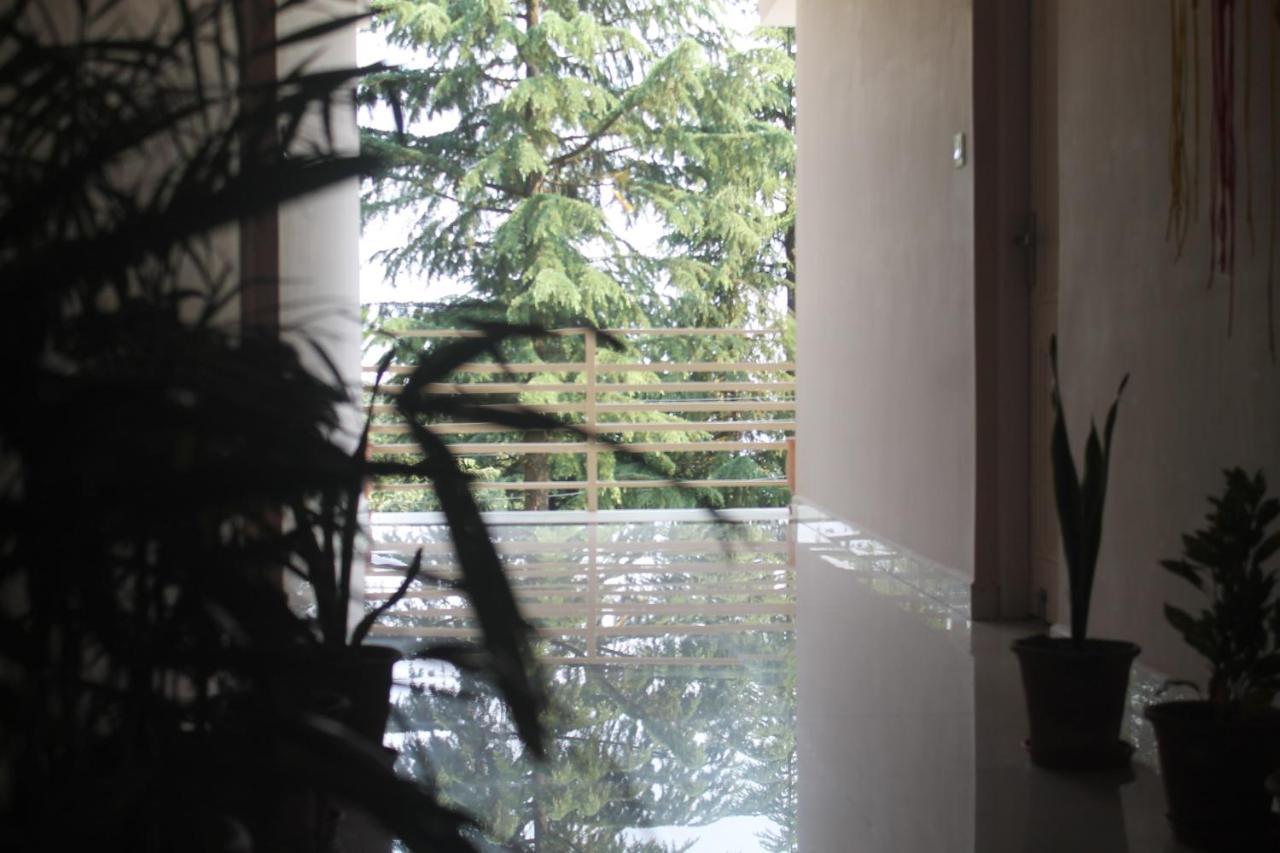 Junglaat Ecorganic Stays&Experiences Dharamshala Bagian luar foto